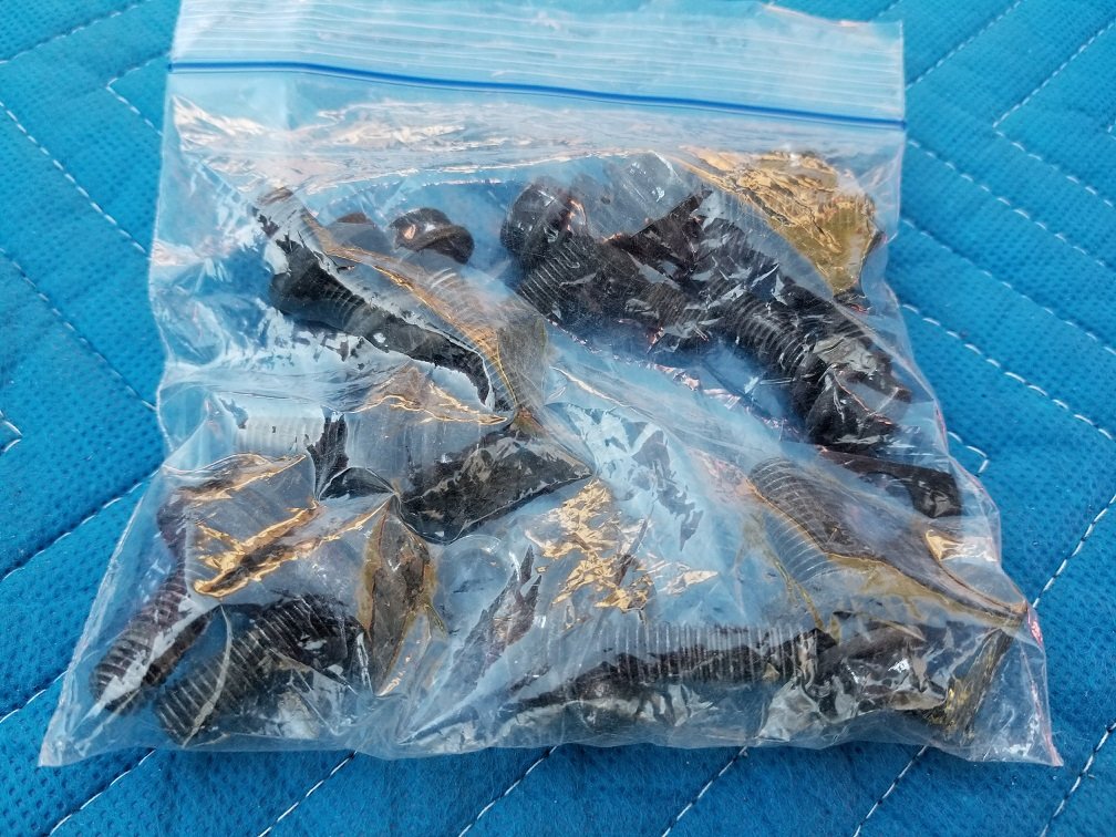 20180318_173719.jpg