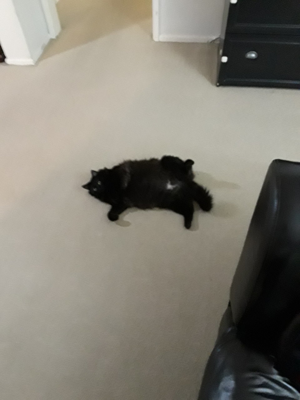 20180318_192350.jpg