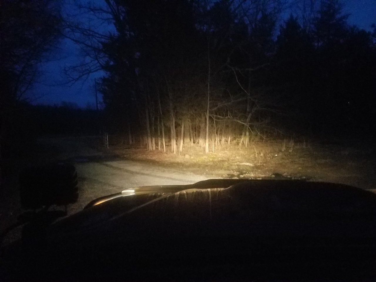 20180319_195540.jpg