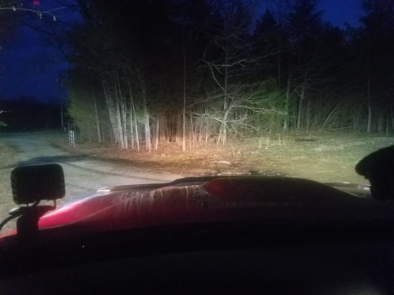 20180319_195548.jpg