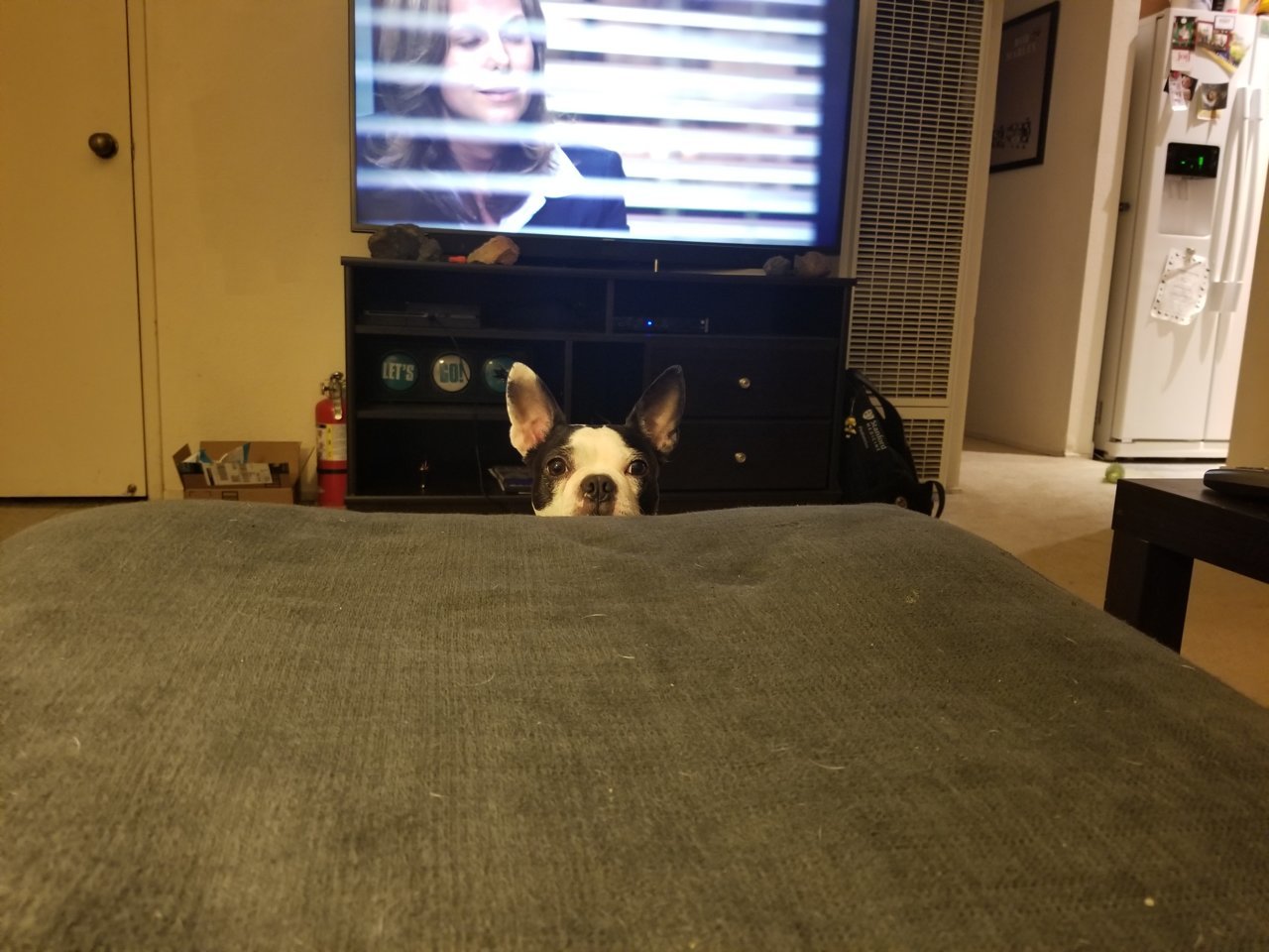 20180319_210211.jpg
