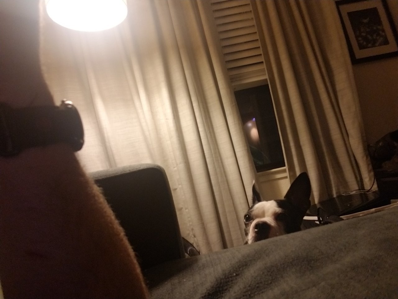 20180319_210839.jpg