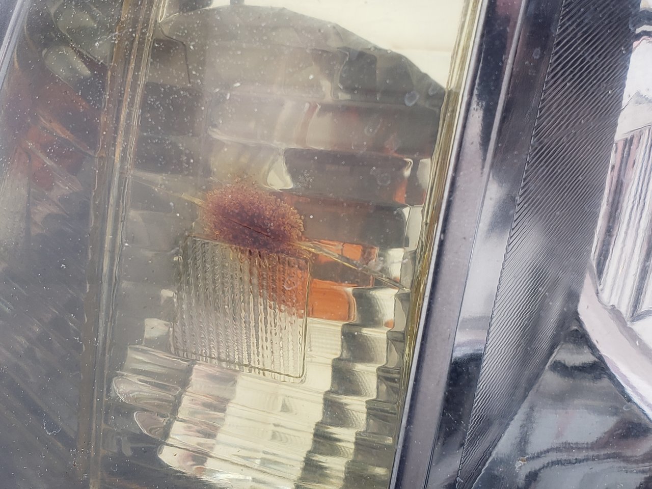 20180320_075506.jpg