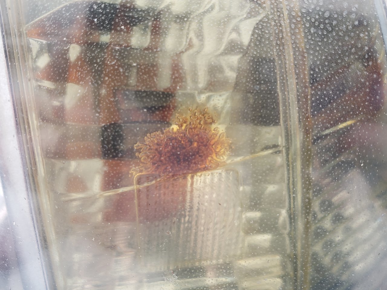 20180320_075525.jpg