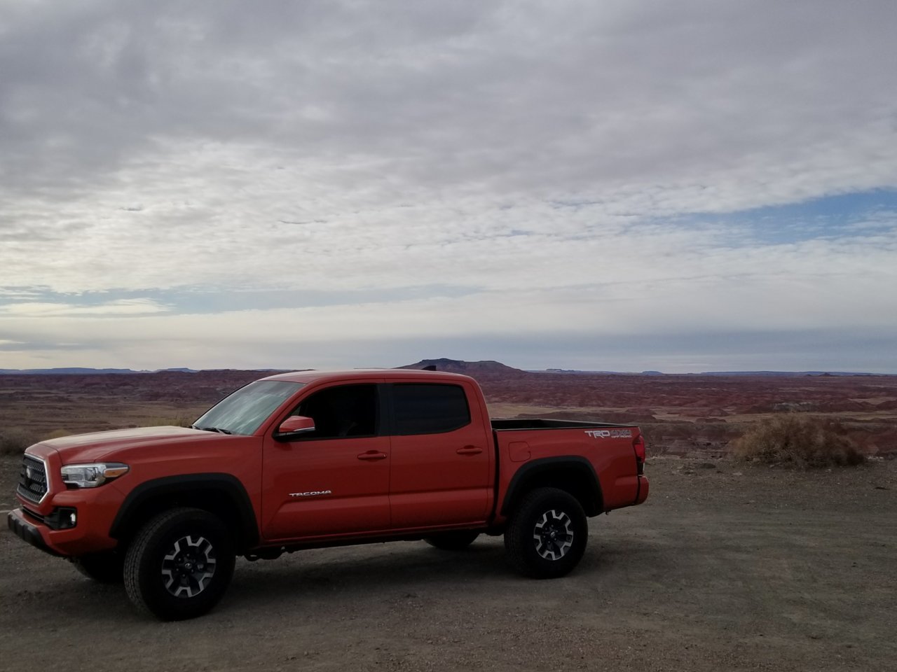 20180320_164914.jpg