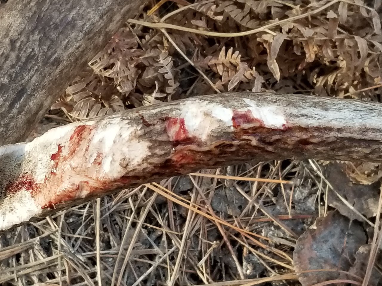 20180320_174502.jpg