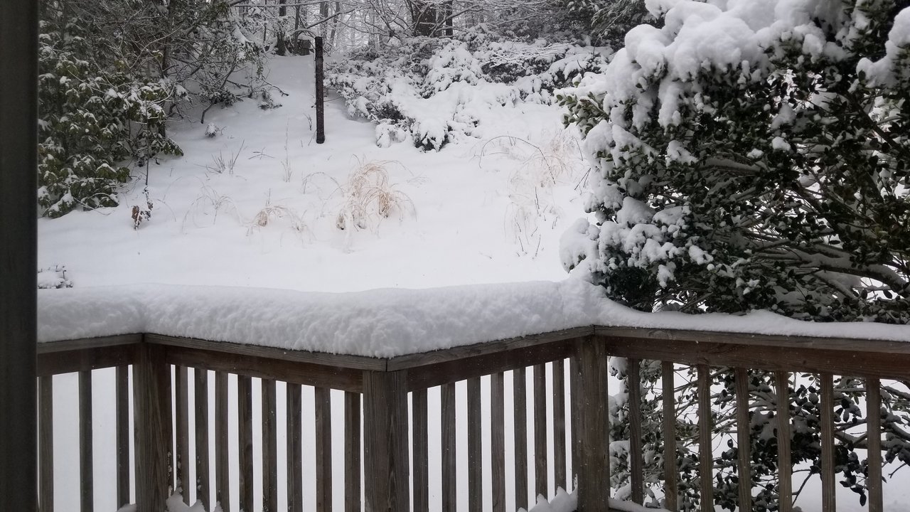 20180321_123410.jpg