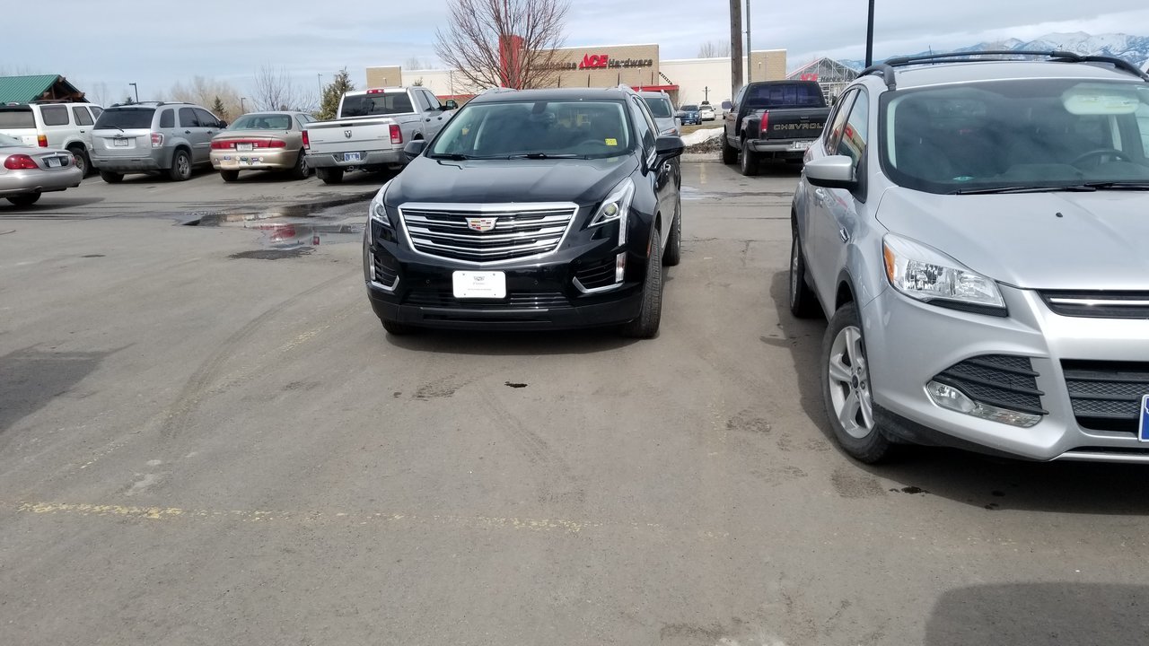 20180321_131456.jpg