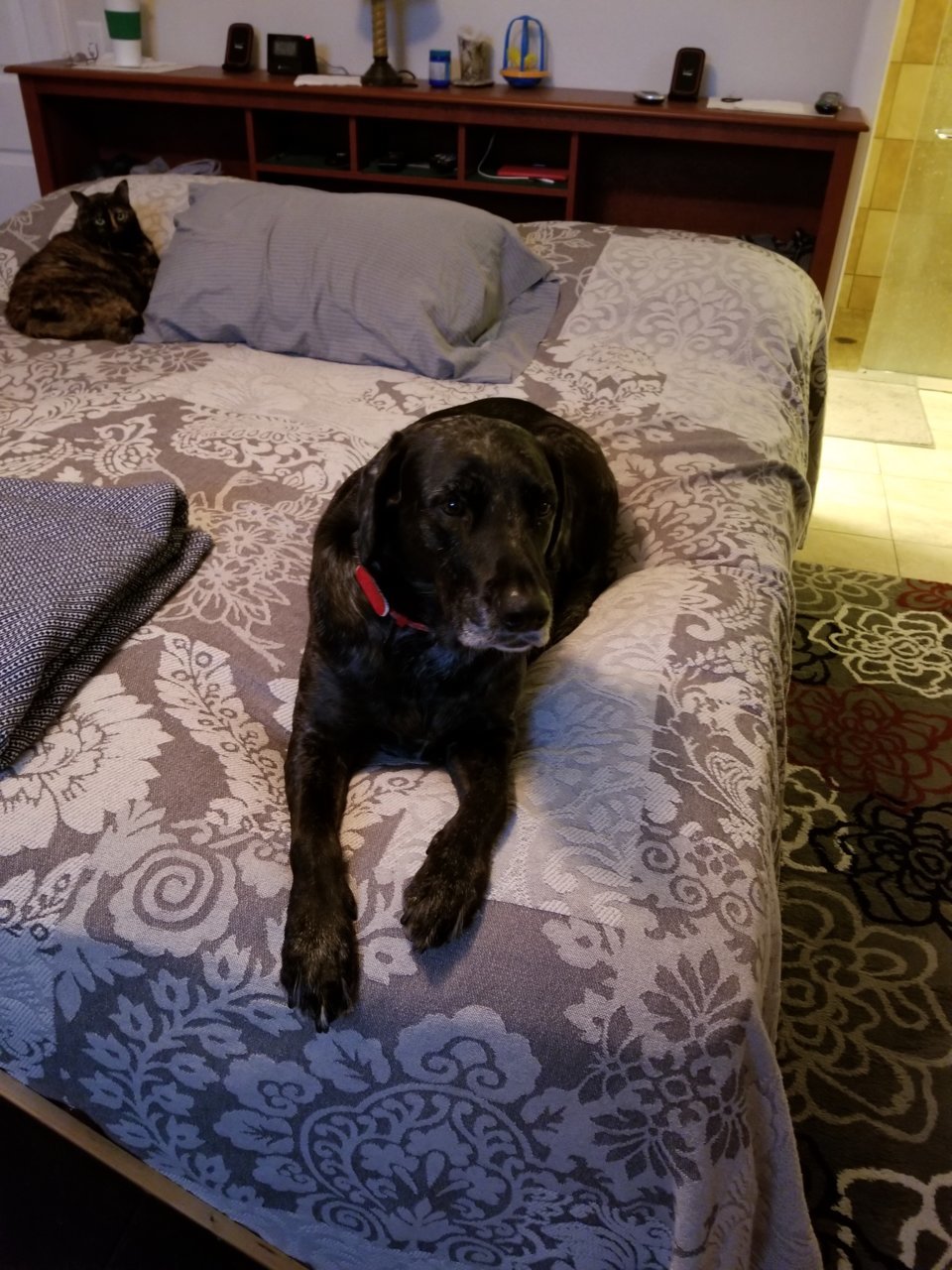 20180322_072150.jpg