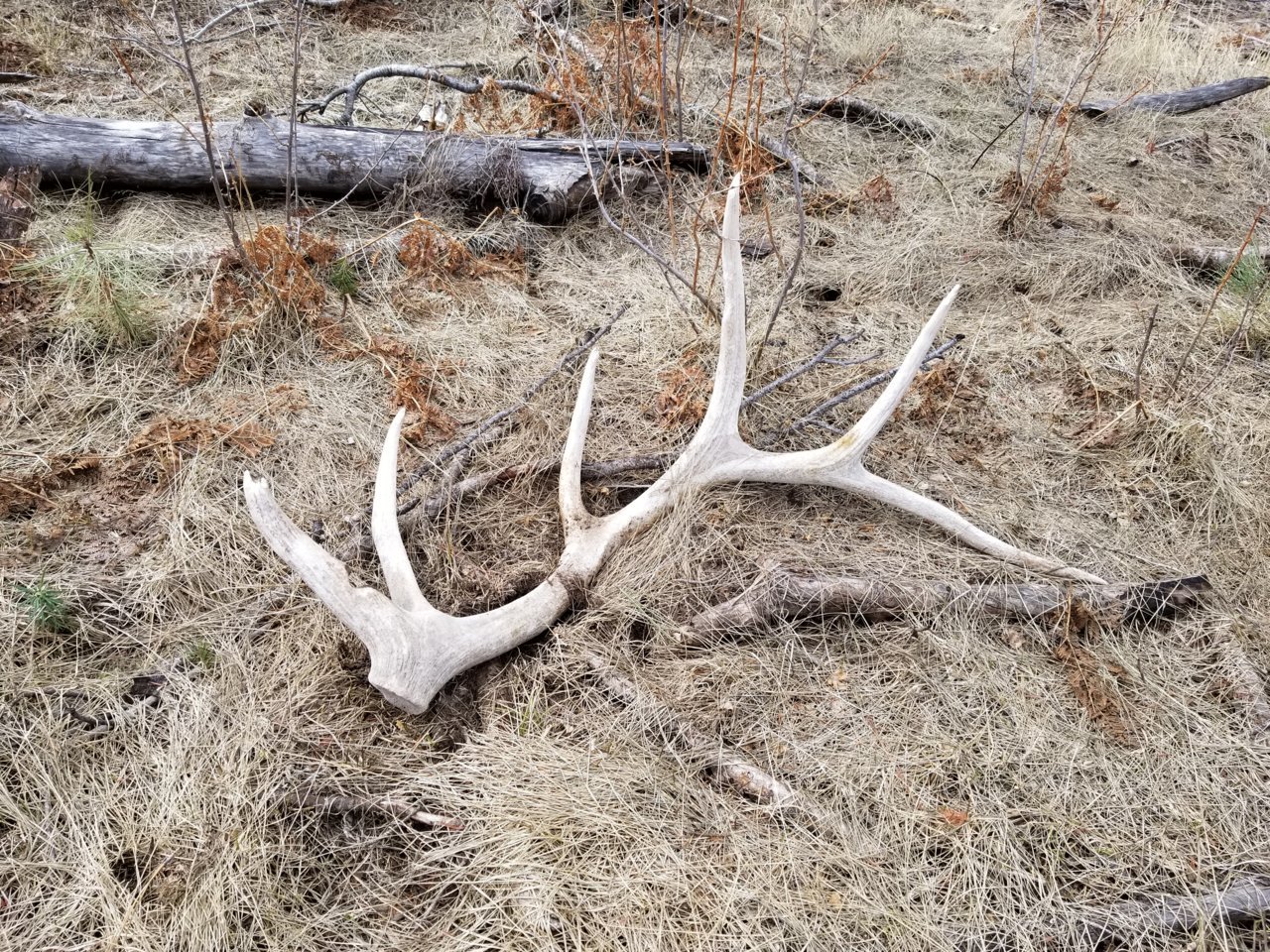 20180322_151847.jpg