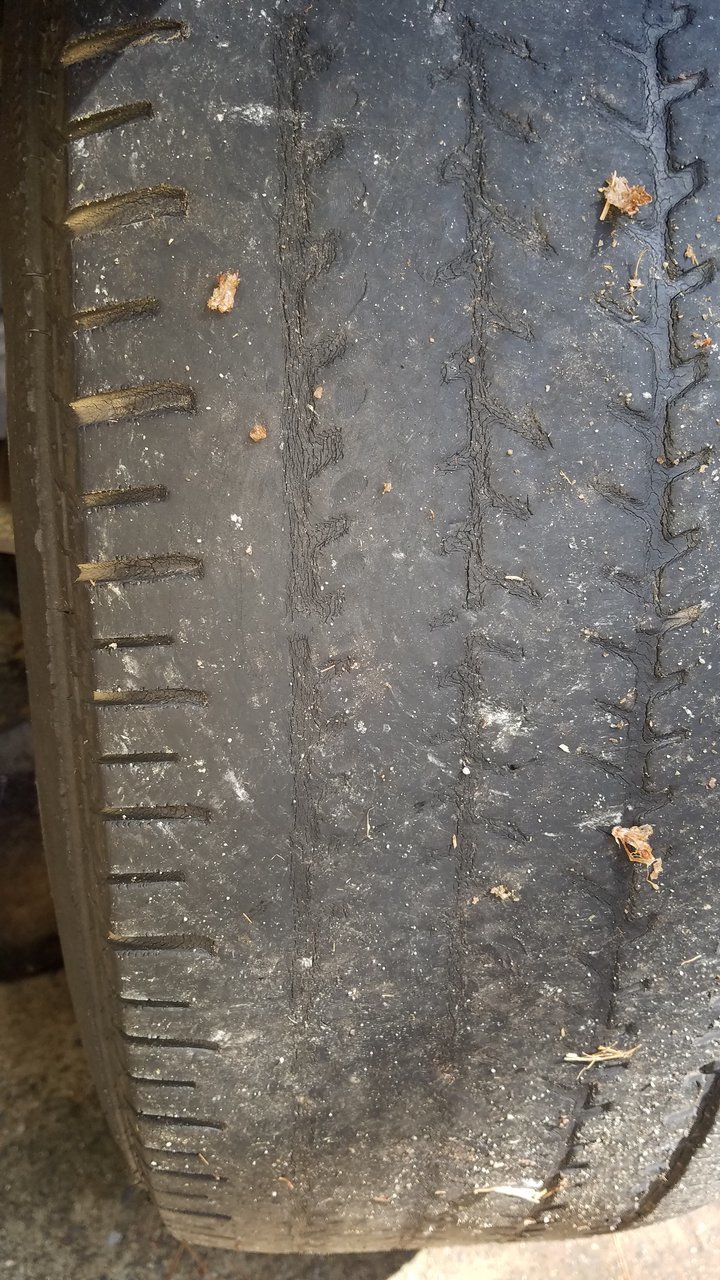 20180323_133139.jpg