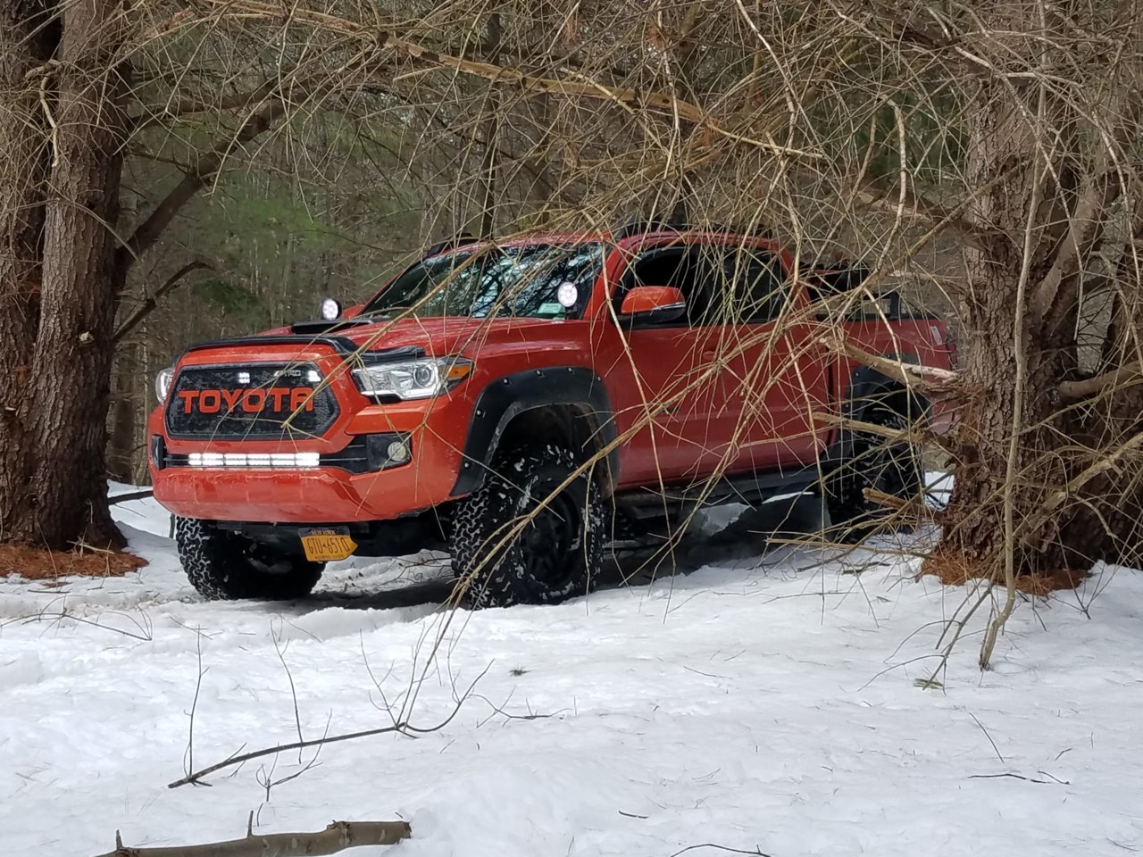 20180323_140239.jpg