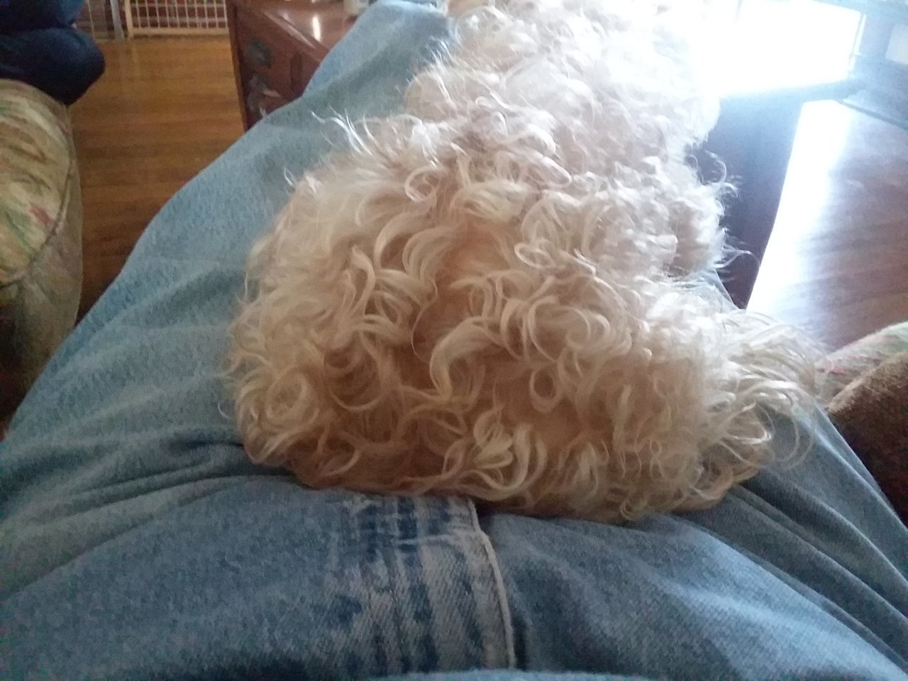 20180323_145804.jpg