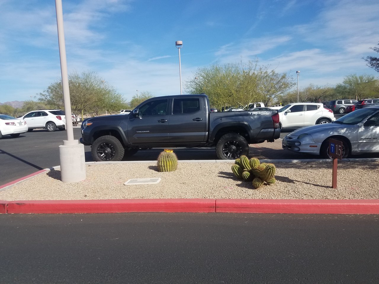 20180323_155401.jpg