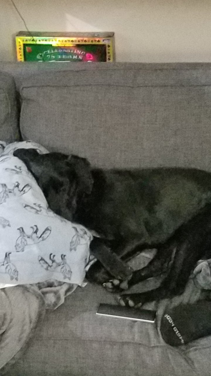 20180323_215711.jpg