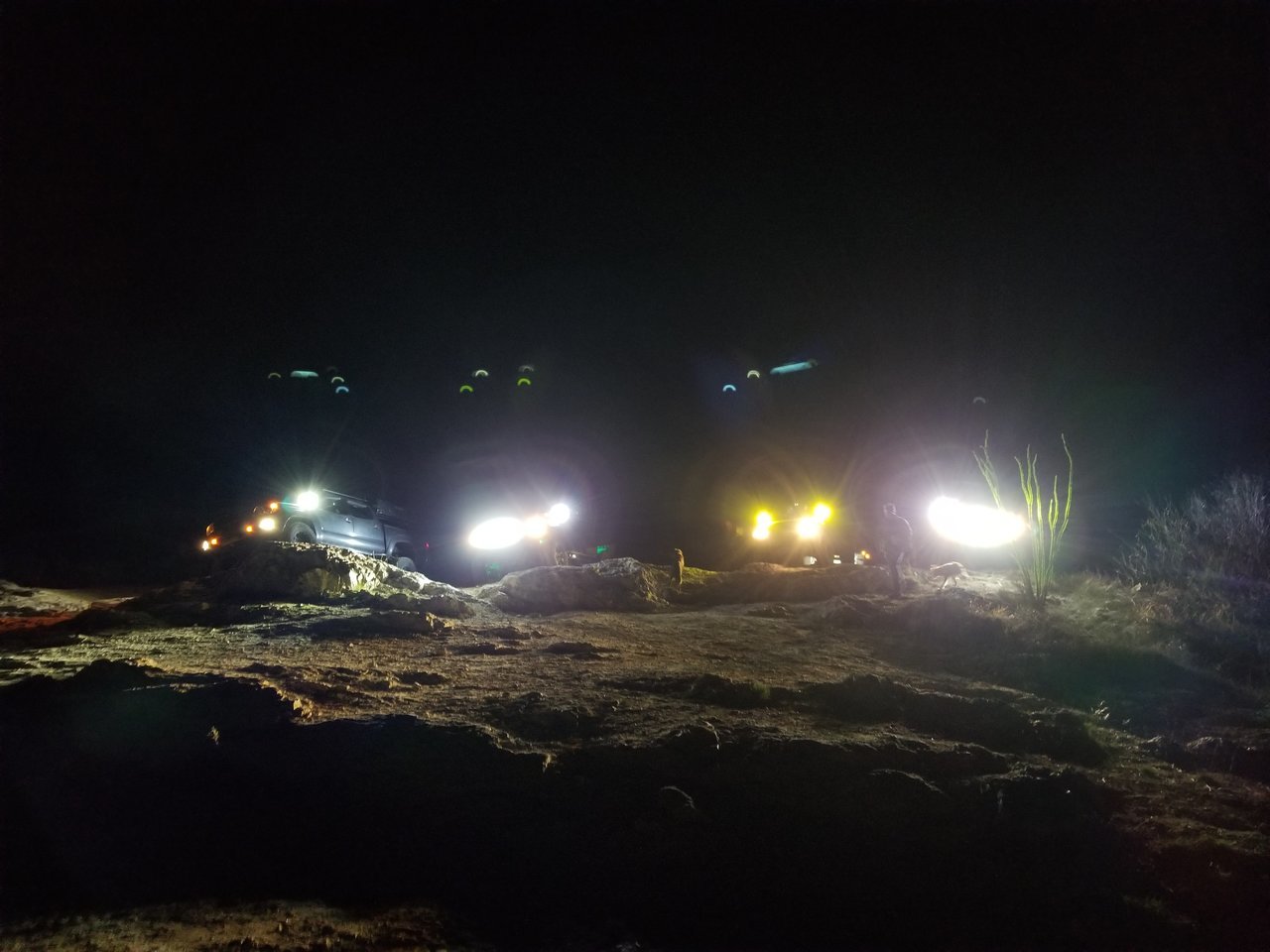 20180323_230126.jpg