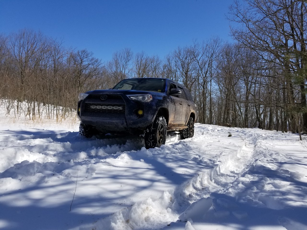 20180324_120119.jpg