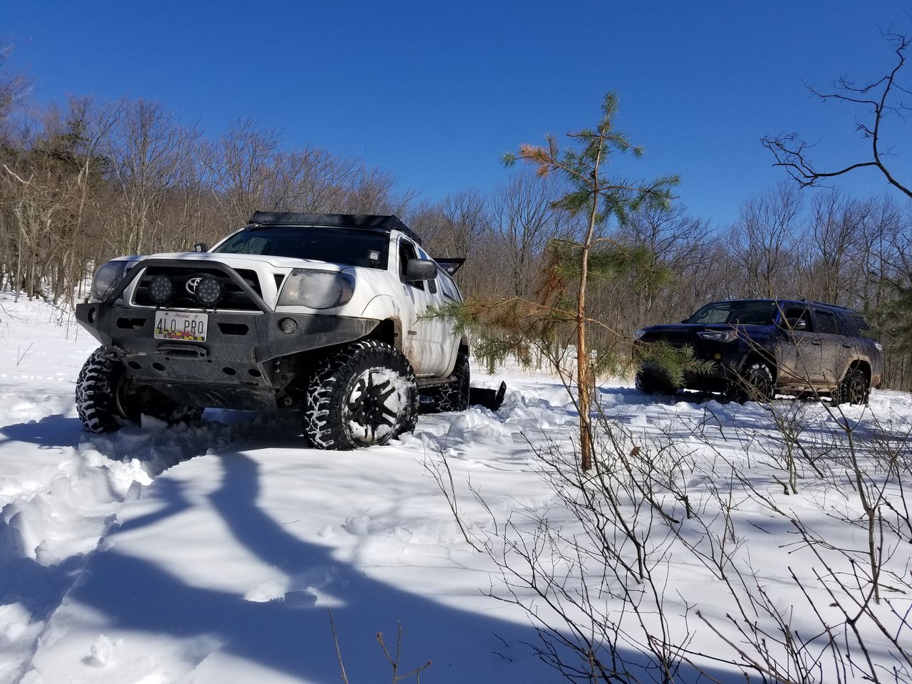 20180324_120141.jpg