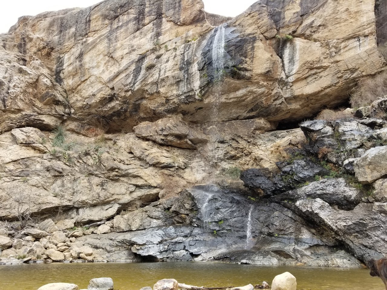 20180324_133739.jpg