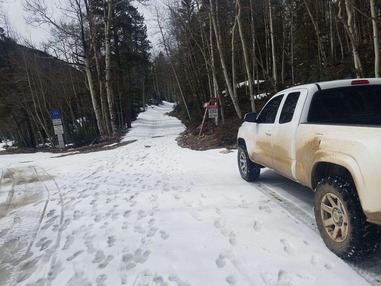 20180324_135612.jpg