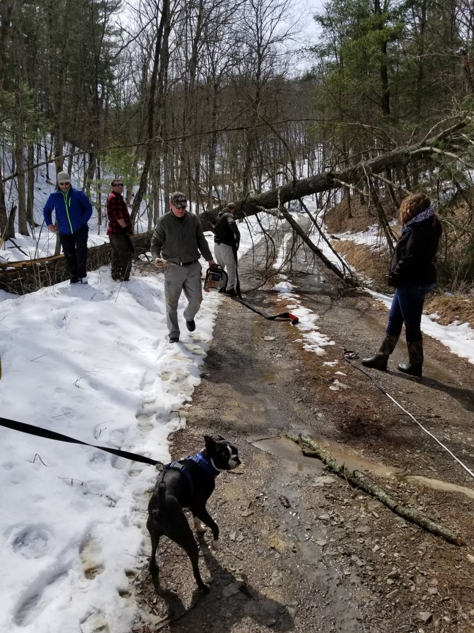 20180324_143558.jpg