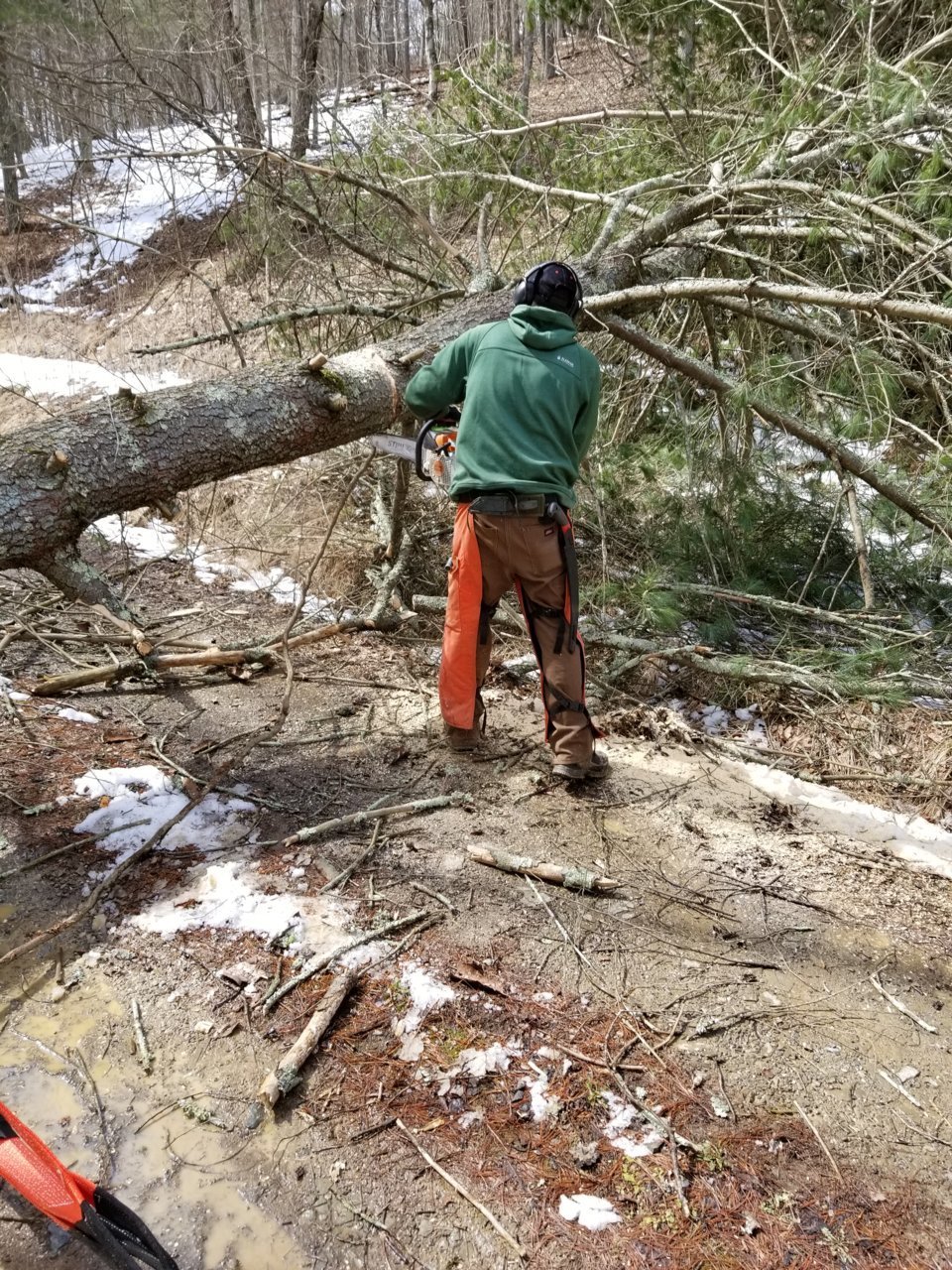 20180324_145136.jpg