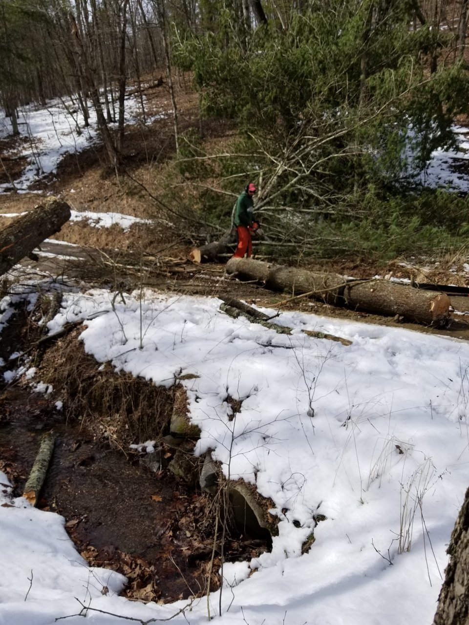 20180324_145332.jpg