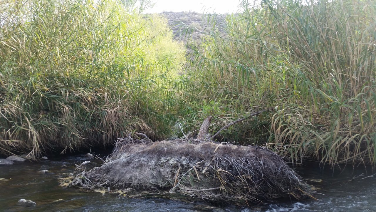 20180324_163549.jpg