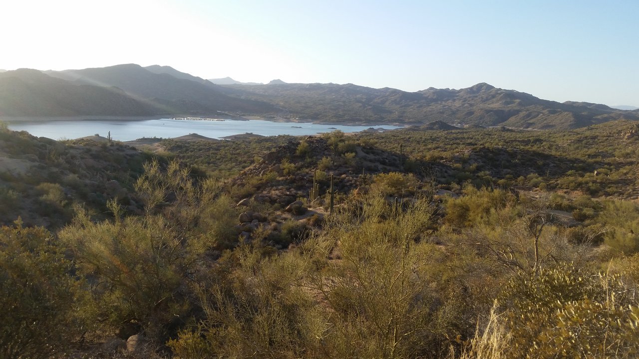 20180324_175516.jpg