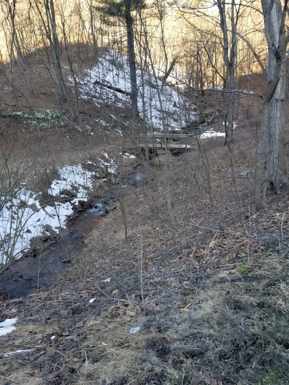 20180325_084635.jpg