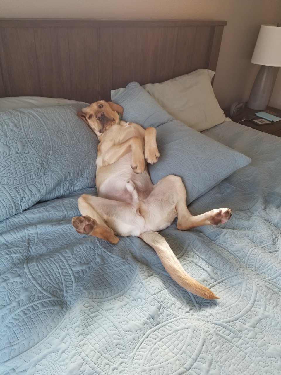 20180325_100909.jpg