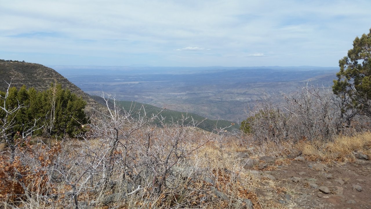 20180325_133445.jpg