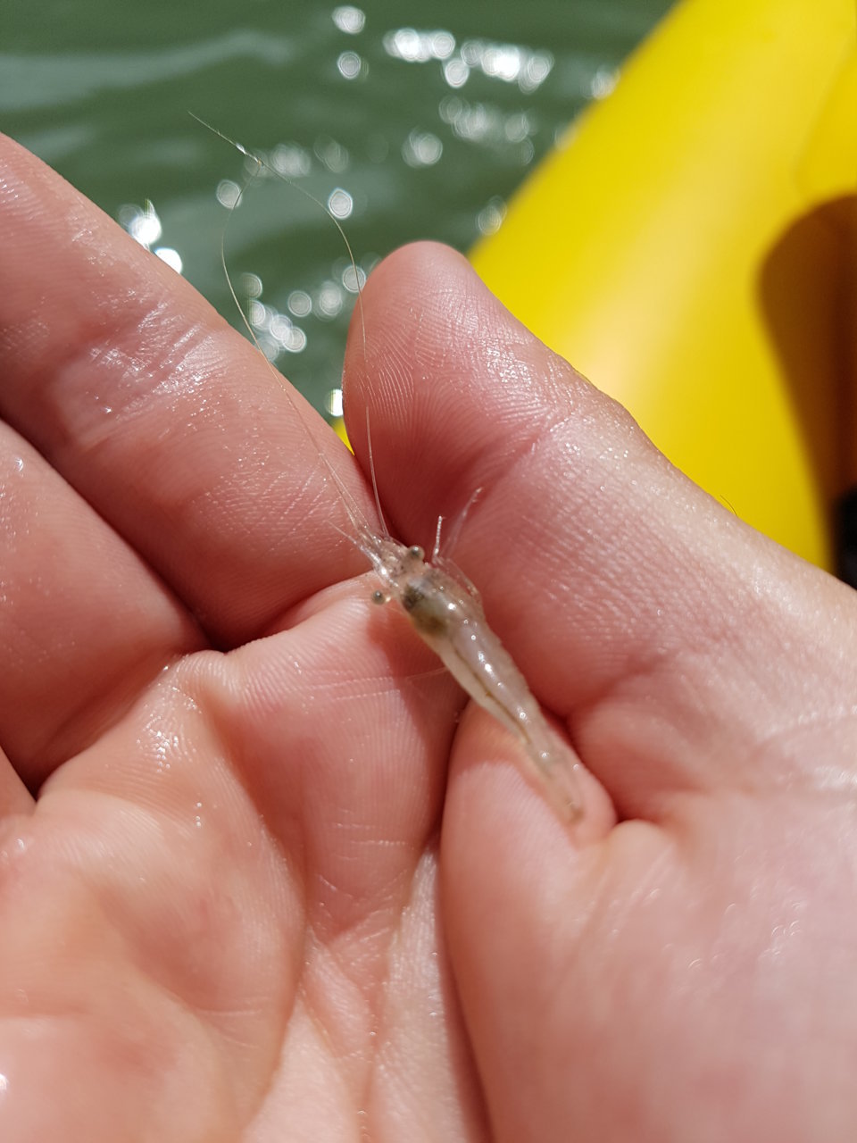 20180325_144629.jpg