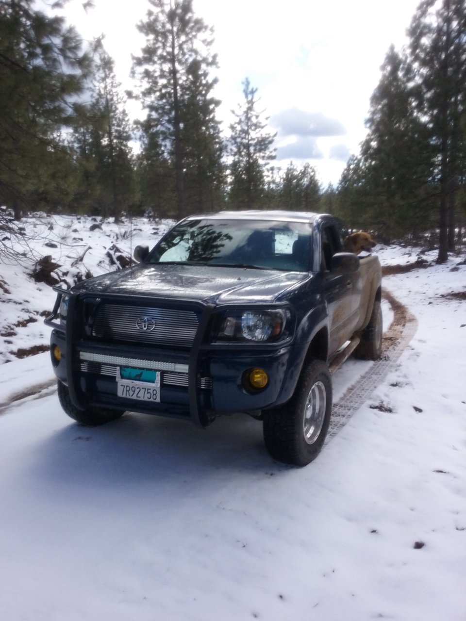 20180325_151420.jpg