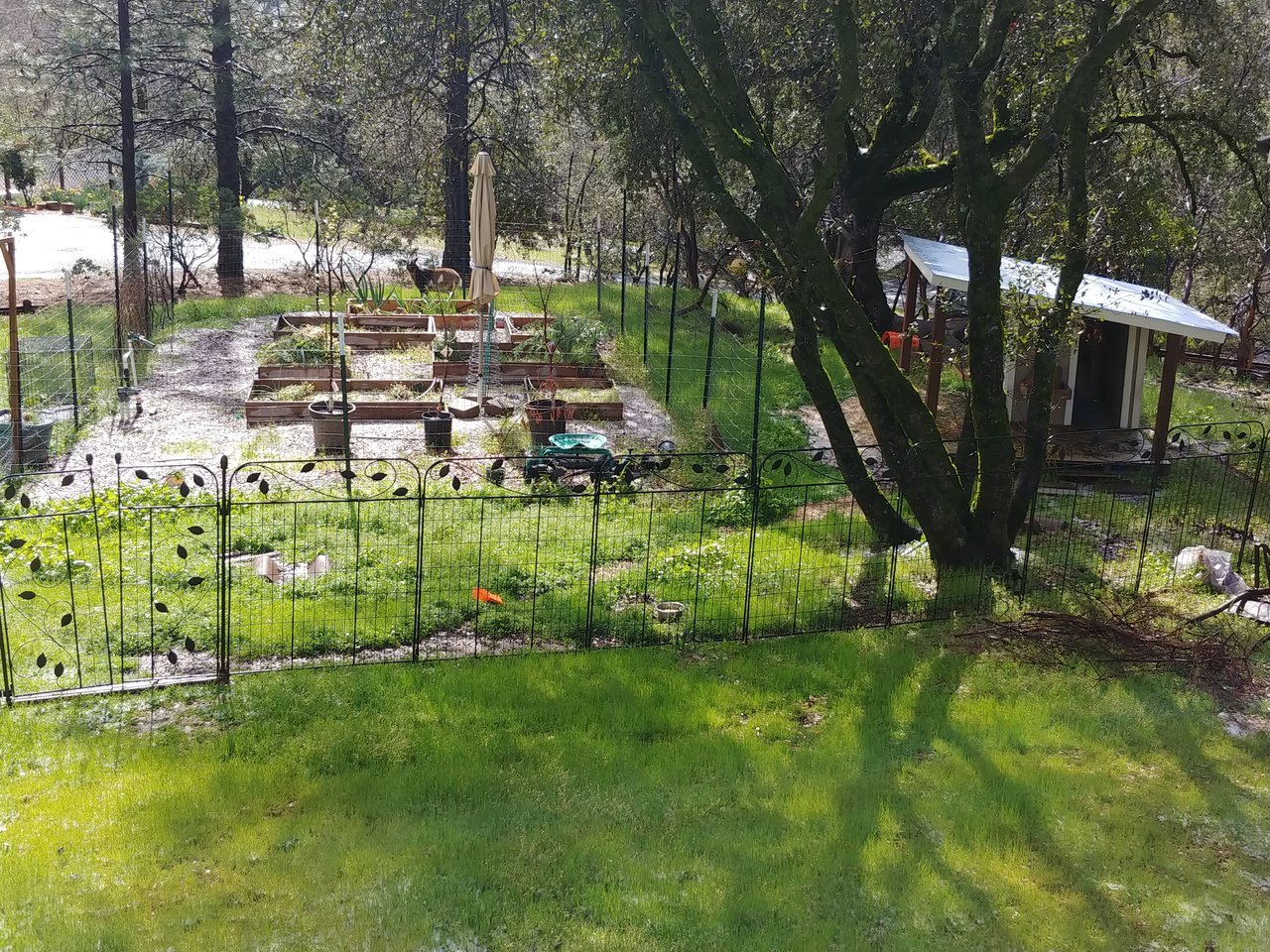 20180325_154557.jpg