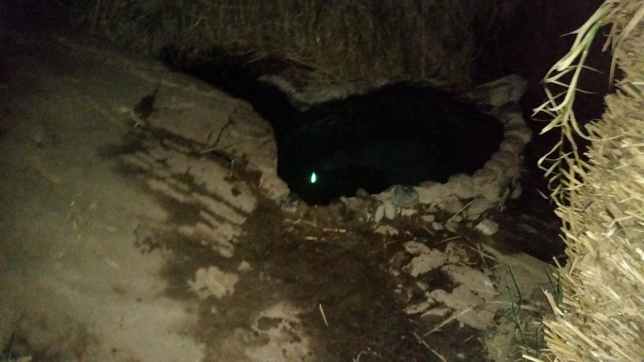 20180325_202816.jpg