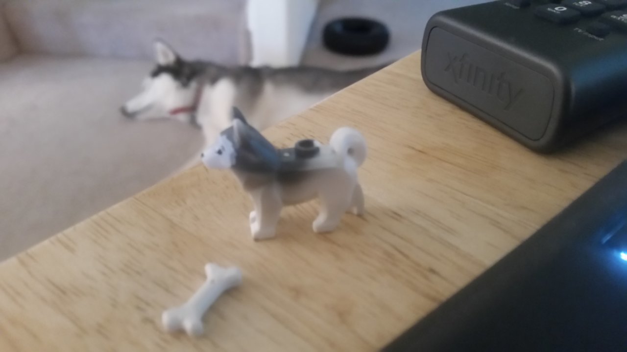 20180326_164402.jpg