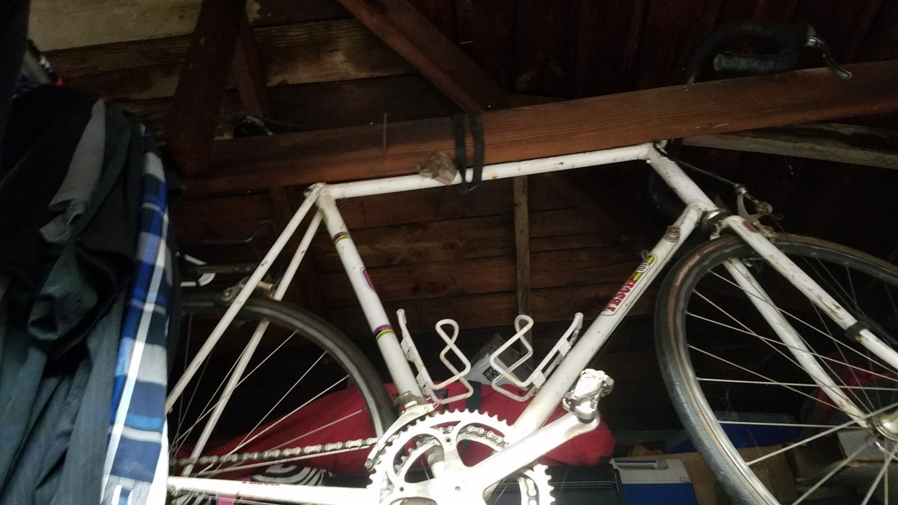 20180328_071137.jpg