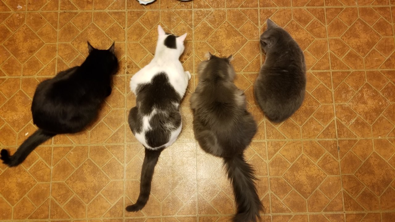 20180328_203638.jpg