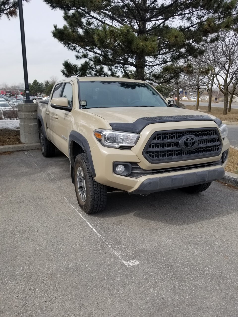 20180329_134651.jpg
