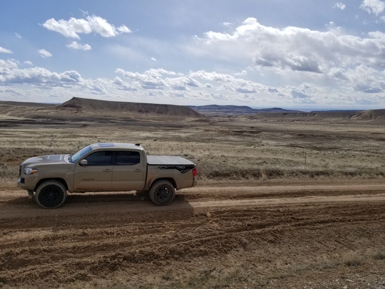 20180329_153408.jpg