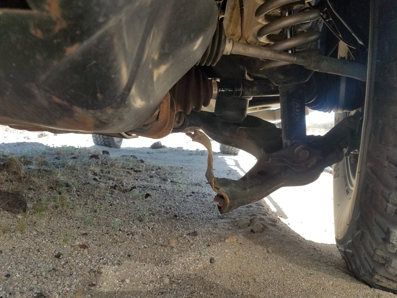 20180330_113159.jpg