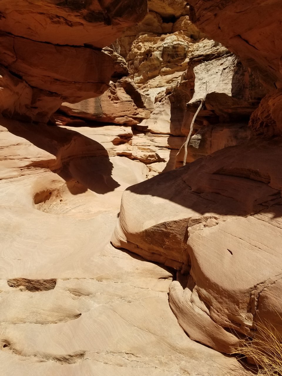 20180330_130017.jpg