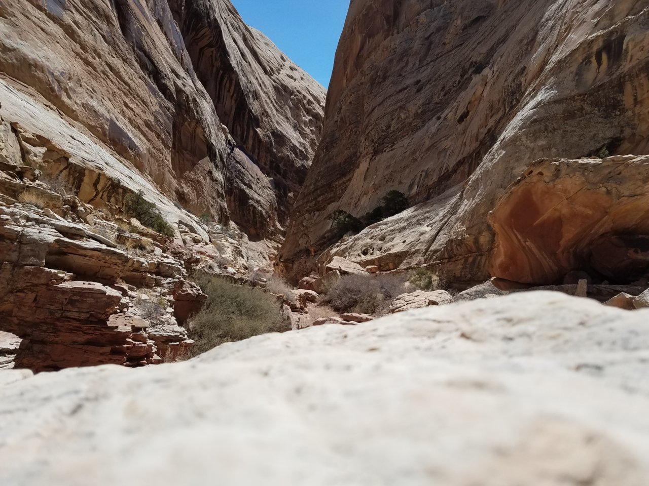 20180330_130234.jpg