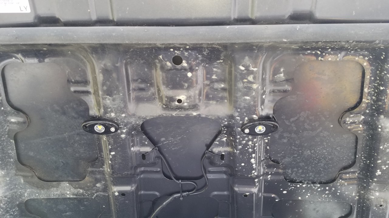 20180330_133530.jpg