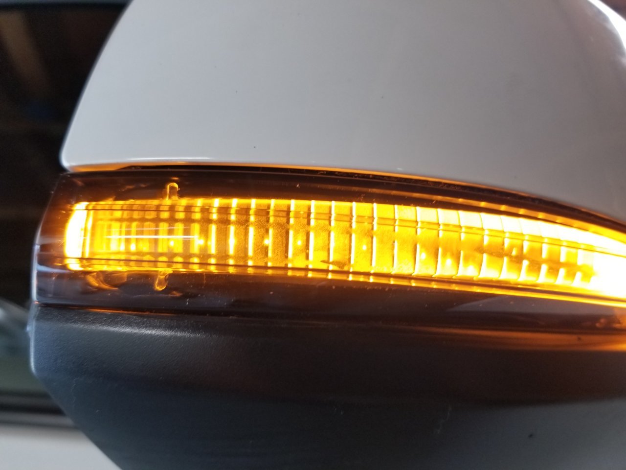 20180331_085126.jpg