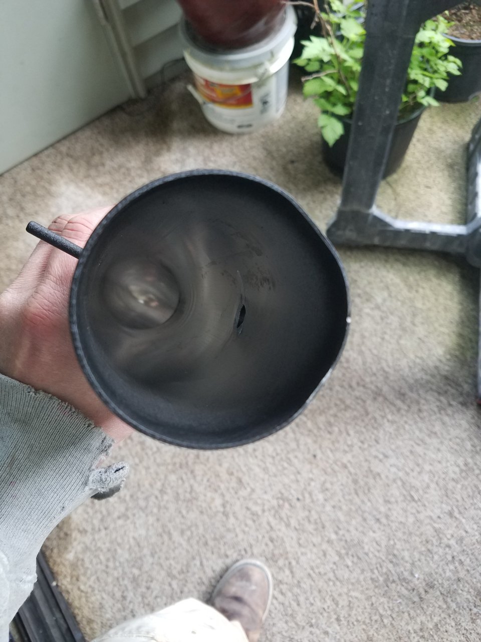 20180331_120809.jpg