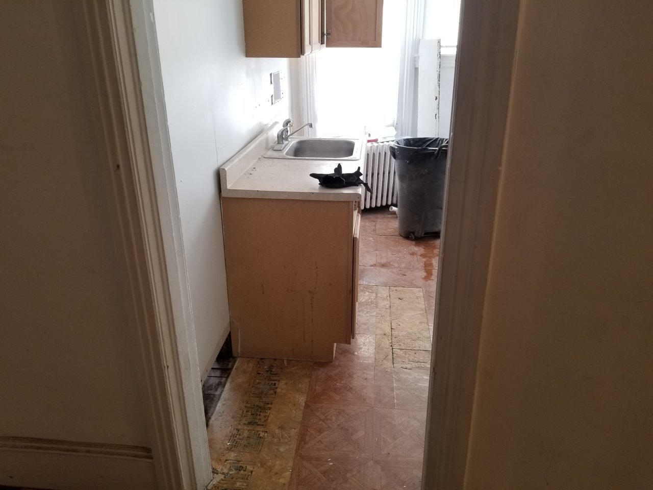 20180331_143712.jpg