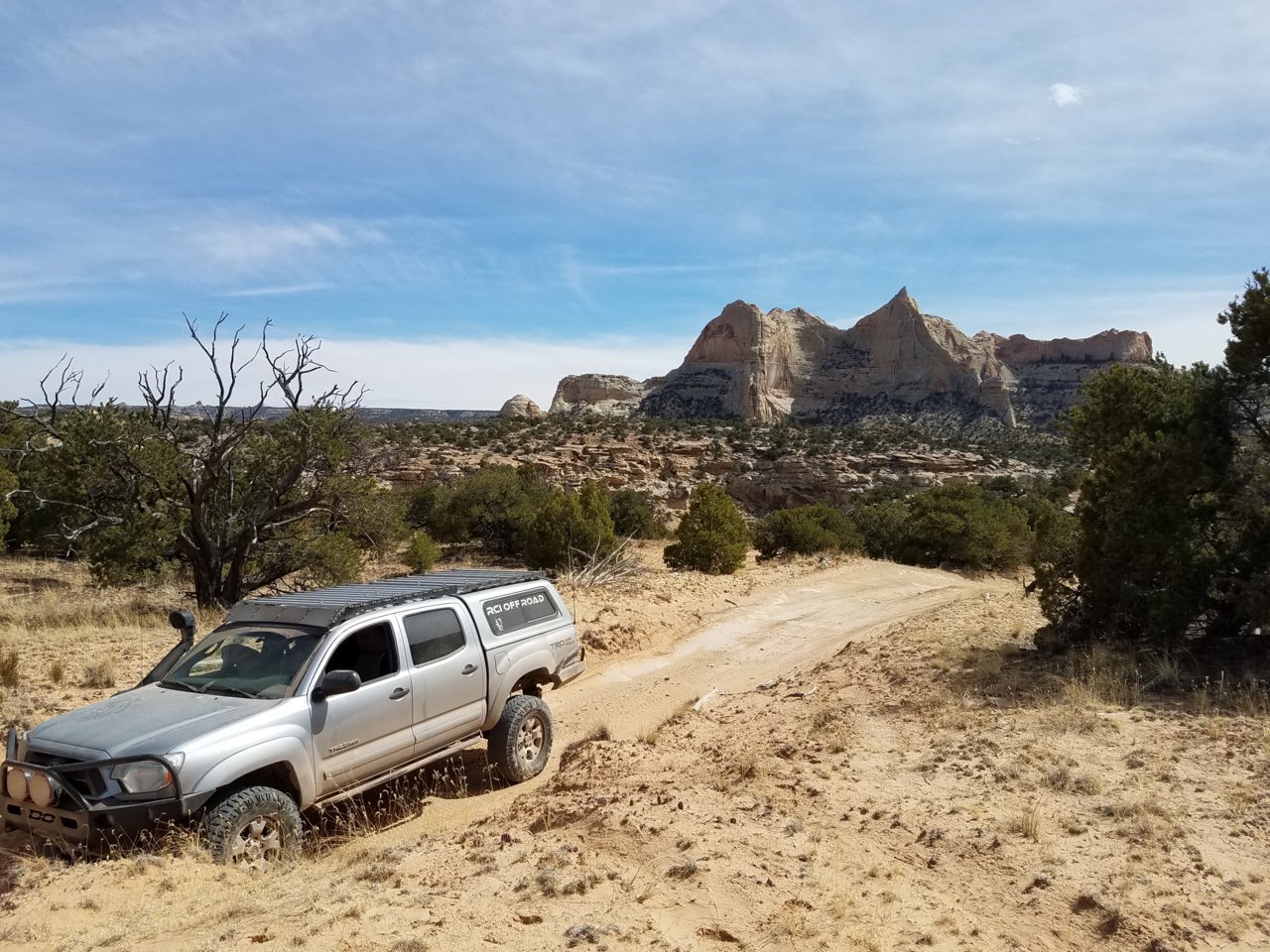 20180331_151045.jpg