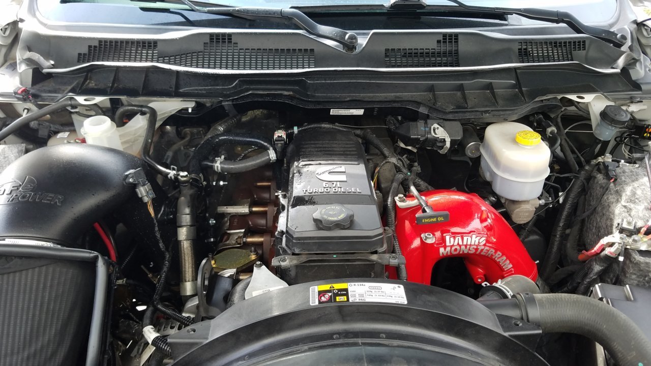 20180401_170135.jpg